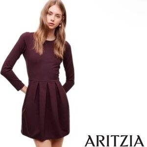 Aritzia Sunday Best Tartine Dress Fit Flare Pleat Dress